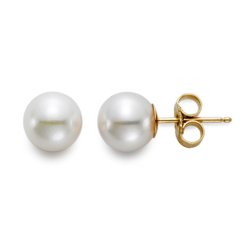 14K Yellow Gold Akoya Pearl Studs - 7.5x8mm