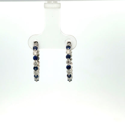 Colored Stone Earring
