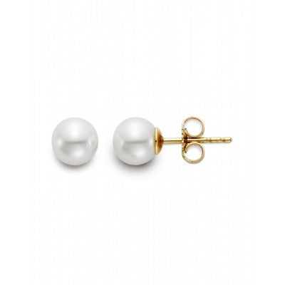 14K White Gold Akoya Pearl Studs - 5.5x6mm