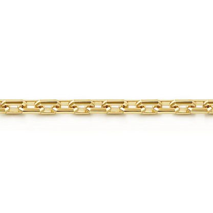 14K Yellow Gold Men's Faceted Chain Bracelet