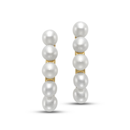 Sole Earring