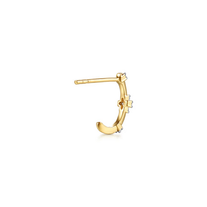 Gold Earrings/Jacket
