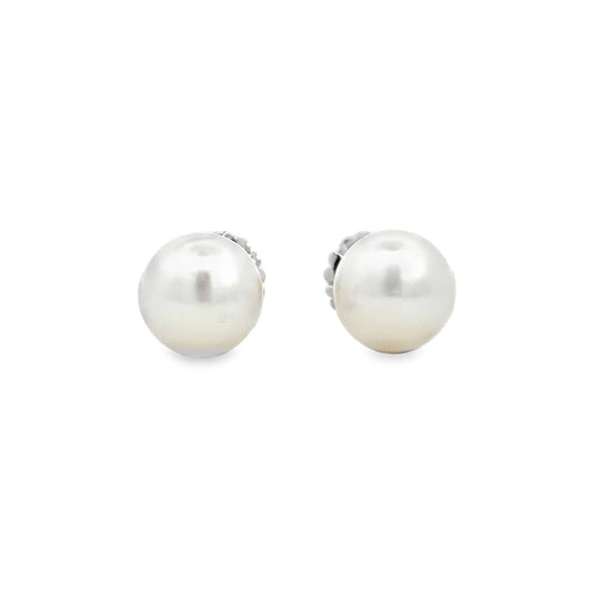 Kirkland Jewelry Estate | 14K White Gold South Sea Pearl Earrings