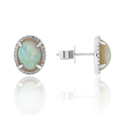 14K White Gold Opal Studs