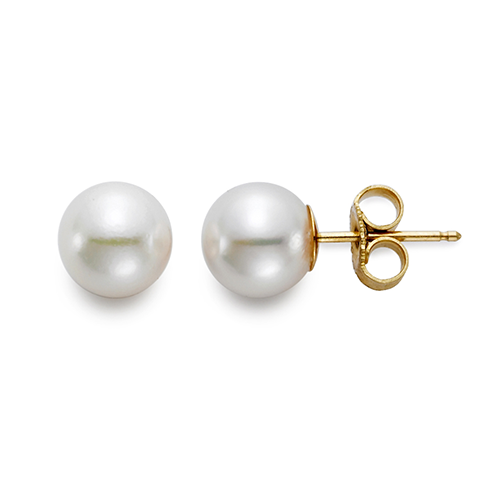 14K Yellow Gold Akoya Pearl Studs - 6.5x7mm