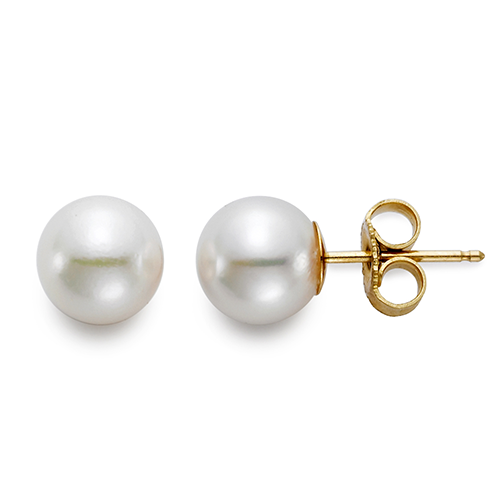 14K Yellow Gold Akoya Pearl Studs - 8x8.5mm